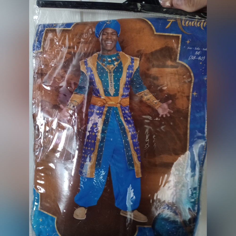 Disney Aladdin's costume